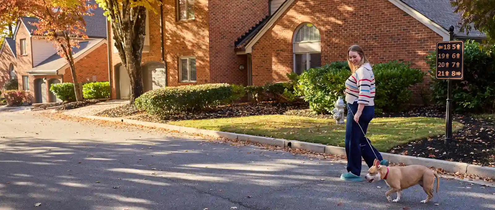A lady walking her dog