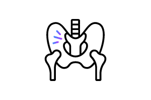 Pelvis and spine icon