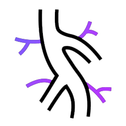  Blood vessels icon