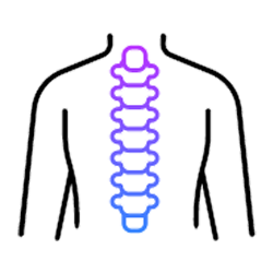  Spine and back icon